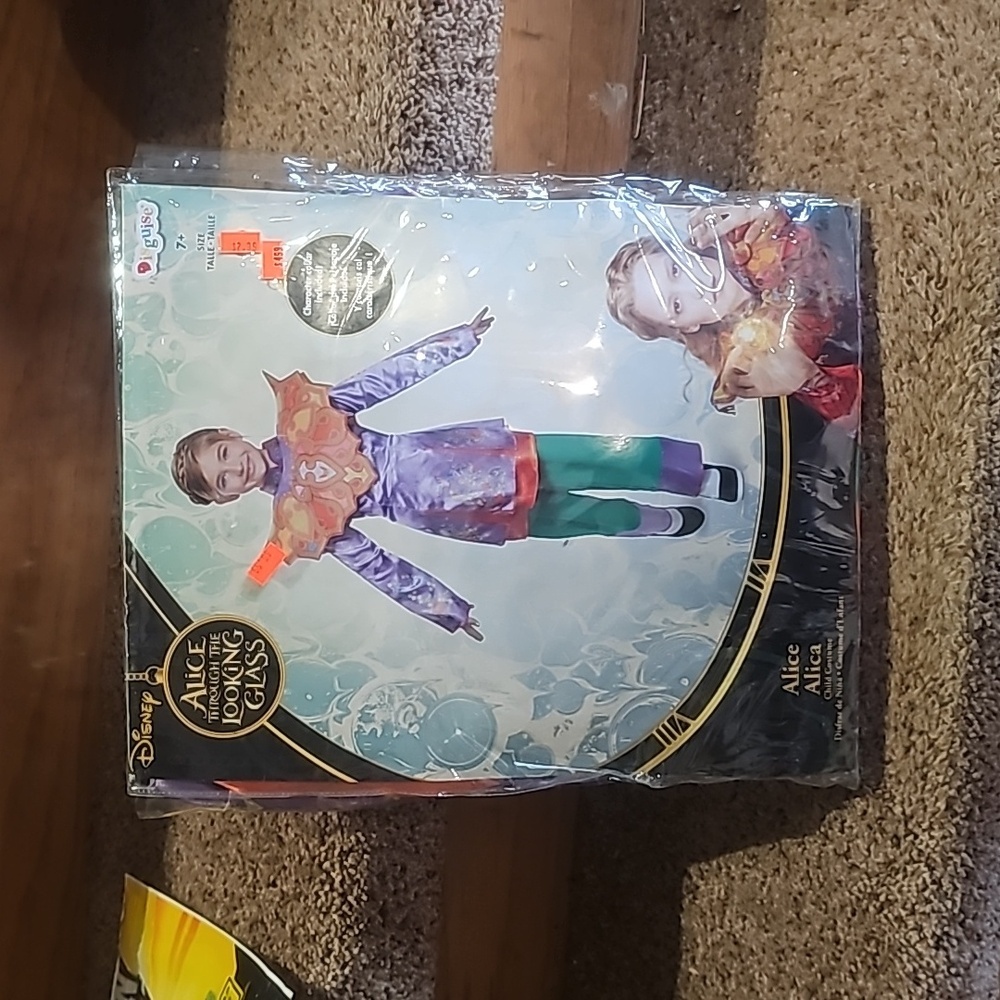 New Alice Through the Looking Glass Childs Costume